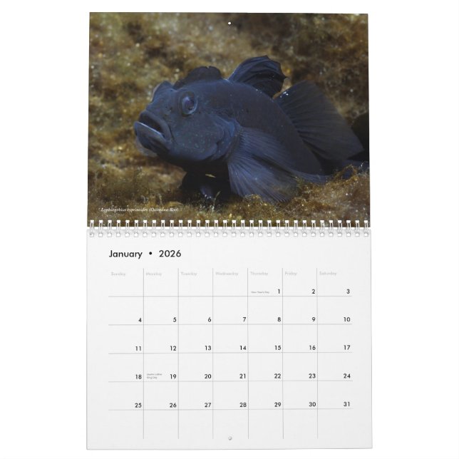 Poissons d'eau douce de calendrier du Mexique 2011 (Jan 2026)