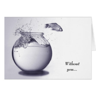 Poissons hors de l'eau