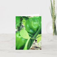 Poivrons verts Jardin Nature Note Carte