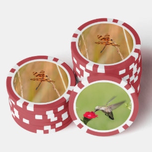 Poker chips with dragonfly and hummingbird picture