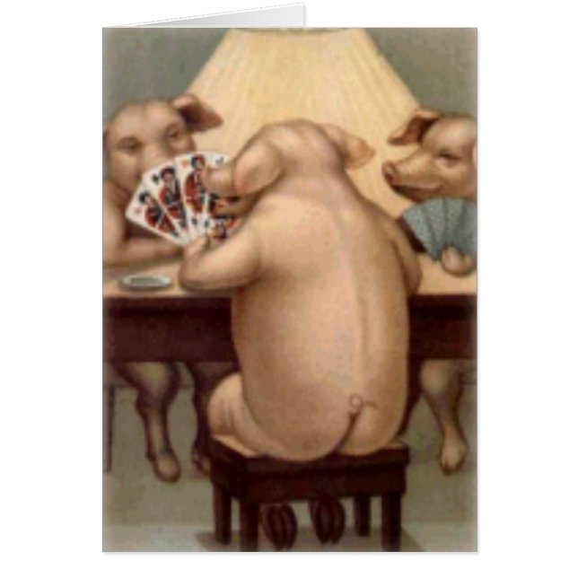 Poker Playing Pigs Card (Blank) (Front)