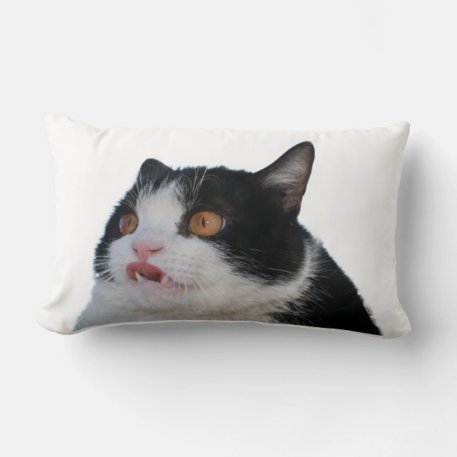 Pokey Pillow (Front)