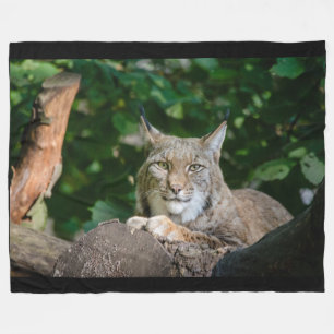 Polaire Chat sauvage de Lynx sur la couverture d'ouatine
