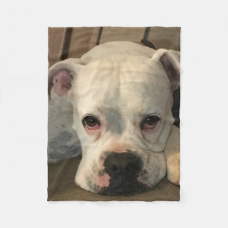 Polaire Couverture de chien
