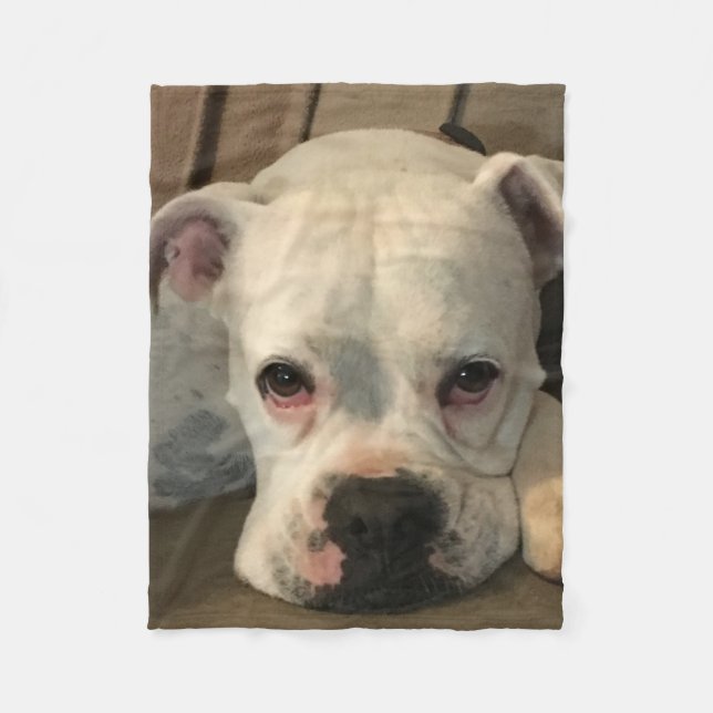 Polaire Couverture de chien (Devant)