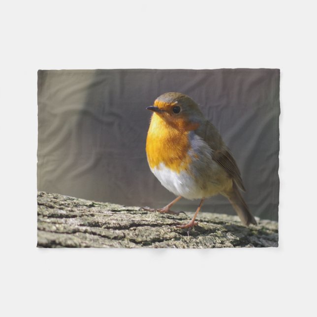 Polaire Couverture d'ouatine de Robin (Devant (Horizontal))