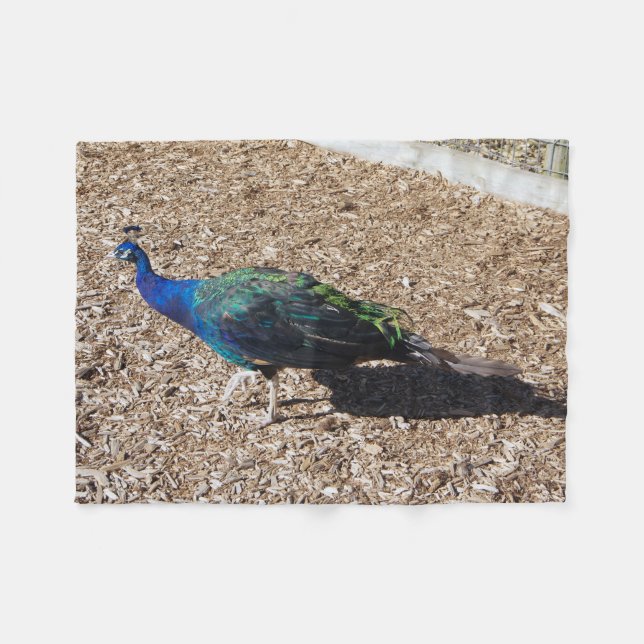 Polaire Couverture en laine de Paon bleu indien (Devant (Horizontal))
