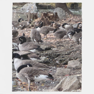 Polaire Couverture en laine vierge d'oies dans le parc