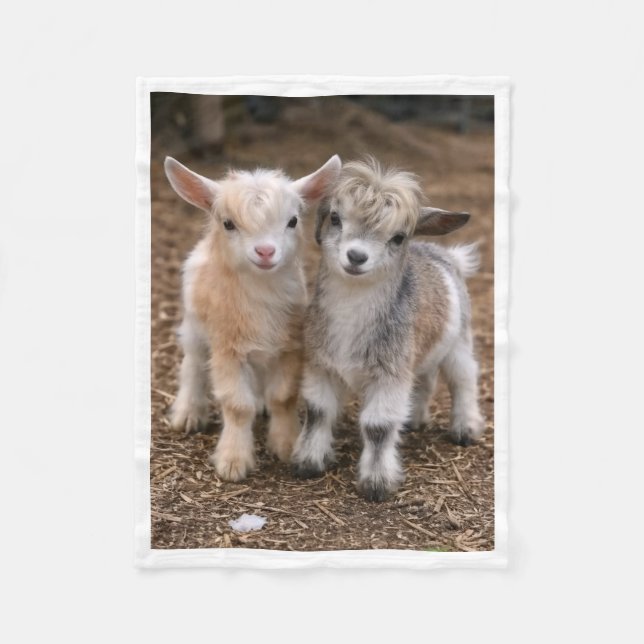 Polaire Couverture en molleton de ferme avec de mignons bé (Devant)