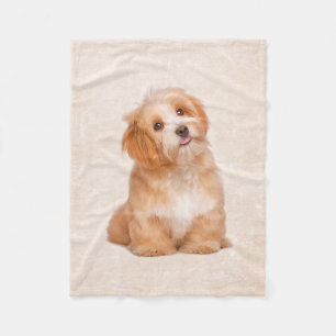 Polaire Couverture mignonne d'ouatine de chiot de Havanese