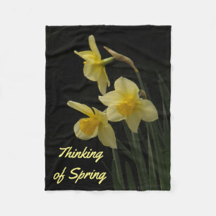 Polaire Couverture photo Daffodil