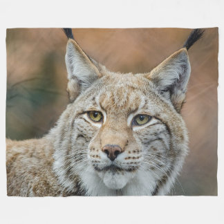 Polaire Couverture sauvage d'ouatine de chat de Lynx