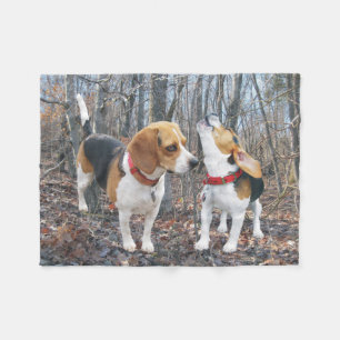 Polaire Les beagles d'hurlement dans la couverture