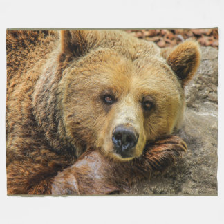 Polaire L'ours gris Brown concernent la couverture