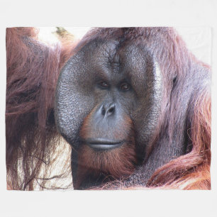 Polaire Orang-outan sur la grande couverture d'ouatine