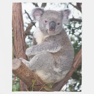 Polaire Ours de koala dans la couverture d'ouatine d'arbre