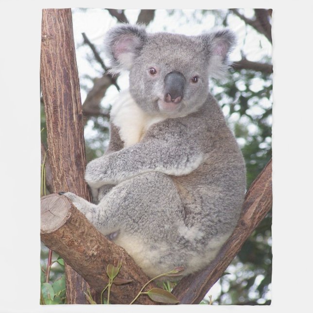 Polaire Ours de koala dans la couverture d'ouatine d'arbre (Devant)