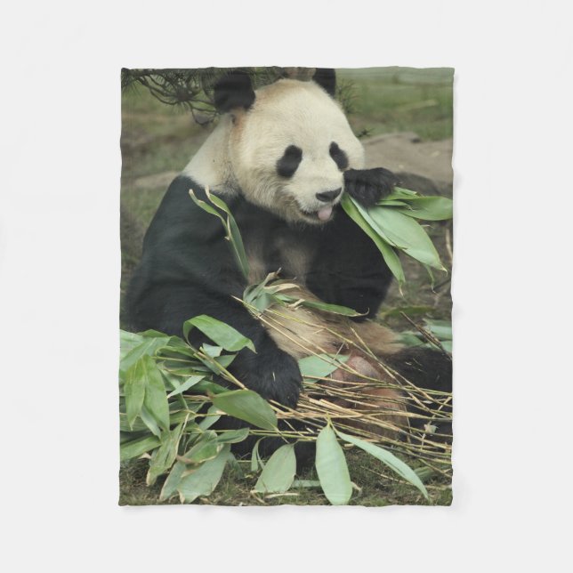 Polaire Ours panda mignon mangeant la couverture d'ouatine (Devant)