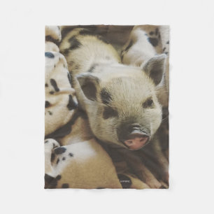 Polaire Porcelet de bébé dans une couverture