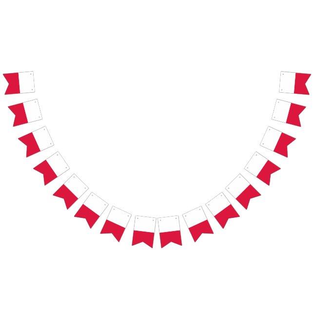 Poland Flag (All)