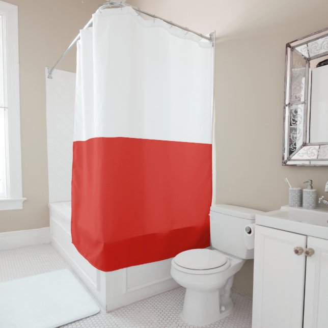 Poland flag (In Situ)