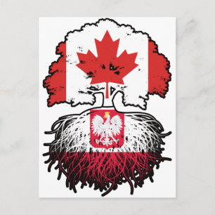 Poland Polish Canadian Canada Tree Roots Flag Postcard