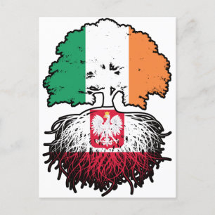 Poland Polish Irish Ireland Tree Roots Flag Postcard