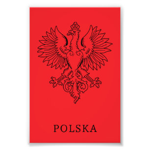 Poland's White Eagle Contemporary State Emblem Photo Print