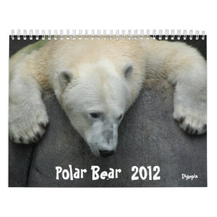Polar Bear 2012 Calendar
