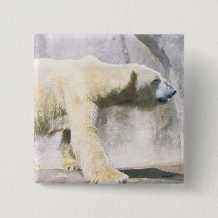 polar bear 2 inch square button
