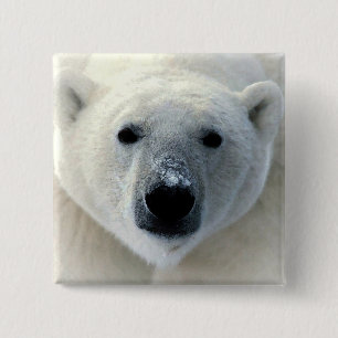 Polar Bear 2 Inch Square Button