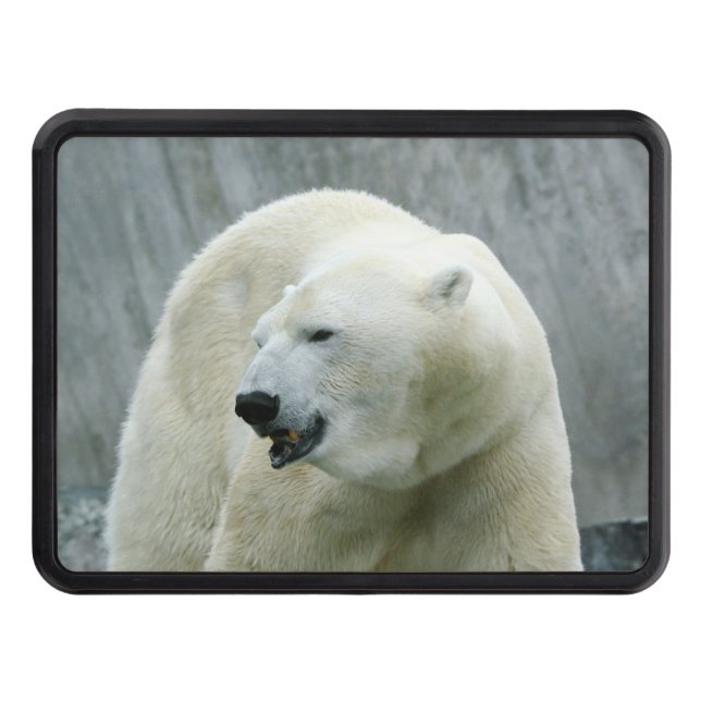 polar bear 519-1 trailer hitch cover (Front)