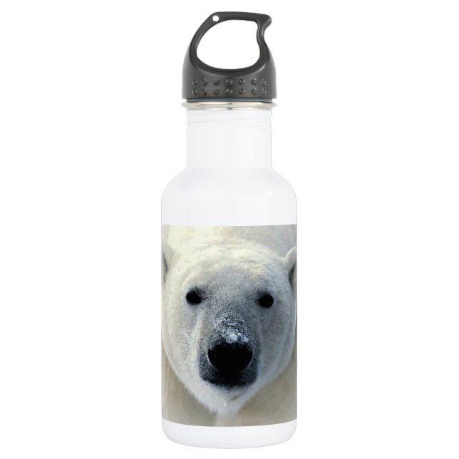 Polar Bear 532 Ml Water Bottle (Front)