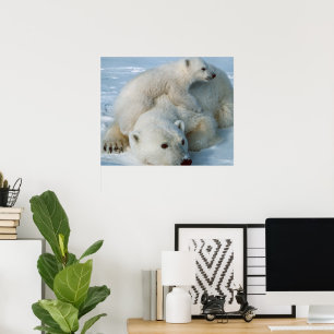 Polar Bear and Cub Wildlife Lovers Poster