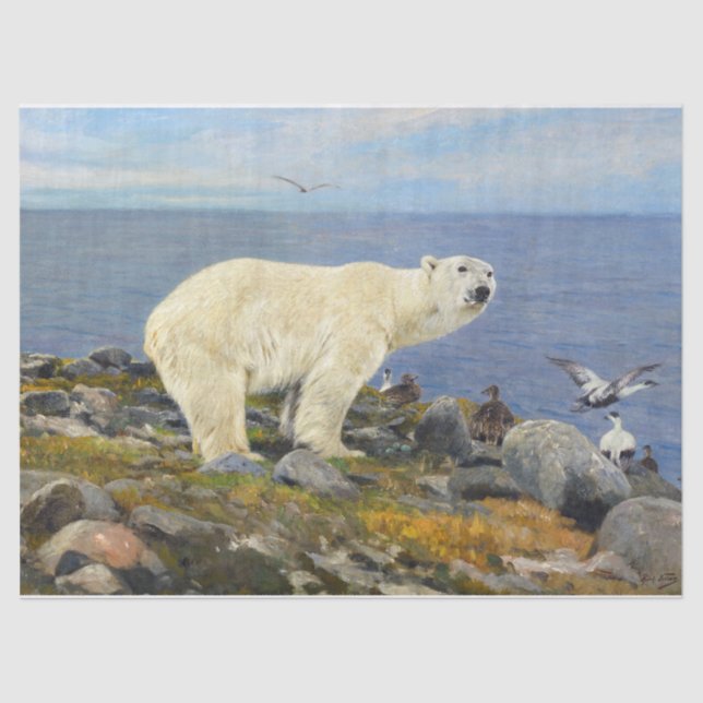 Polar Bear and Eider Ducks on the Coast by Friese Tissue Paper (Front)