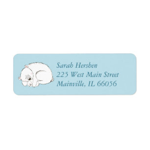 Polar Bear Baby Shower Winter Blue Boy