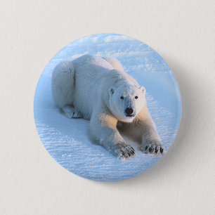 Polar Bear Blue 2 Inch Round Button