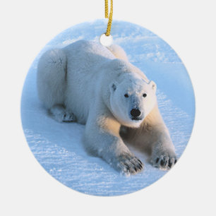 Polar Bear Blue Ceramic Ornament