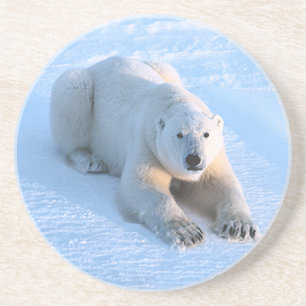 Polar Bear Blue Coaster