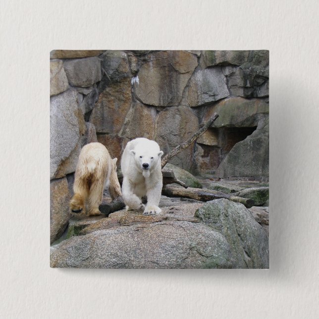 POLAR BEAR button (Front)