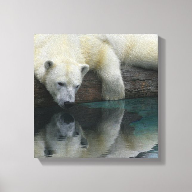 Polar Bear Canvas - Polar Bear Reflections (Front)