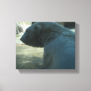Polar Bear Canvas Print