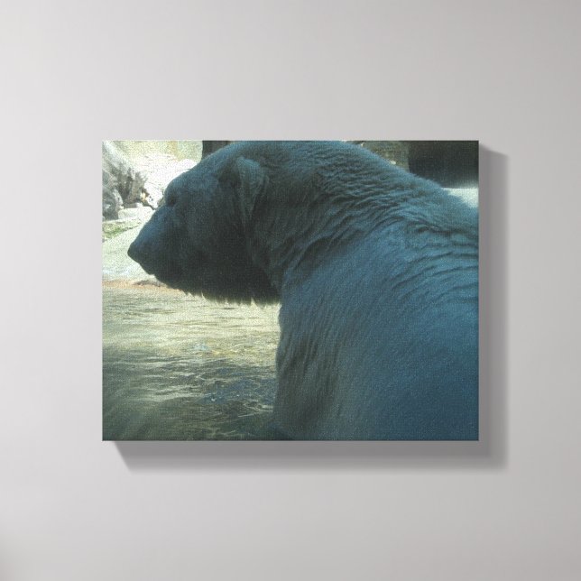 Polar Bear Canvas Print (Front)