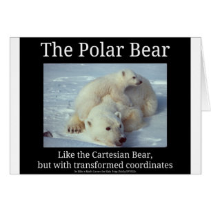 Polar Bear Cartesian Bear