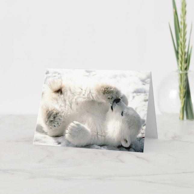 Polar Bear Cub Card (Front)