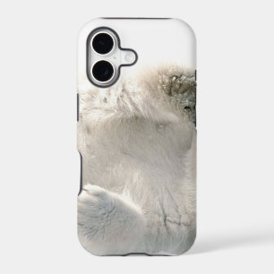 Polar Bear Cub Cute Animal Arctic Frozen Winter