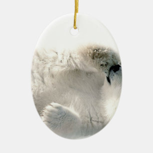 Polar Bear Cub Cute Animal Arctic Frozen Winter Ceramic Ornament