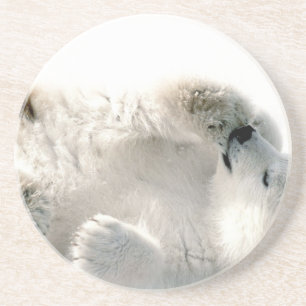 Polar Bear Cub Cute Animal Arctic Frozen Winter Coaster