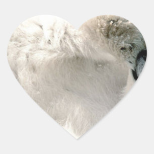 Polar Bear Cub Cute Animal Arctic Frozen Winter Heart Sticker