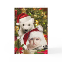 Polar Bear Cub holding YOUR photo for Christmas